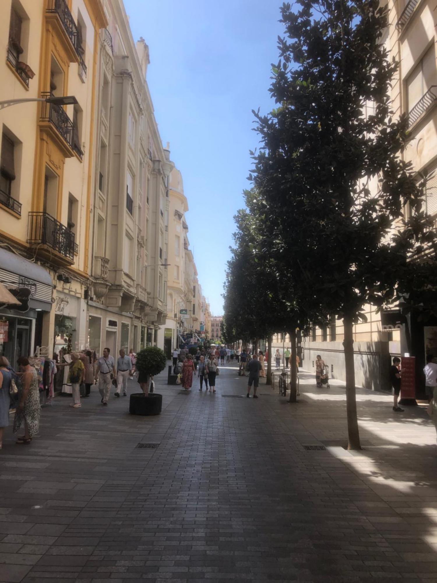 Apartamento En El Centro Totalmente Climatizado, Parking Gratuito Кордова Екстер'єр фото